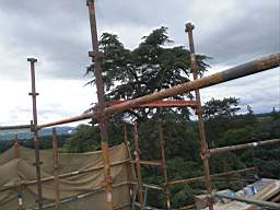 acastle 149550.jpg